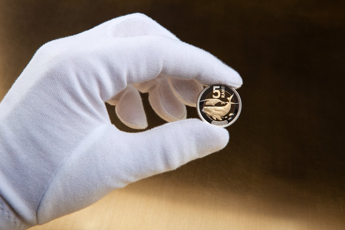 Did you know?

The R5 denomination features the southern right whale, an endangered species which can be found throughout the southern part of the southern hemisphere. 

#samint
#4thdecimal