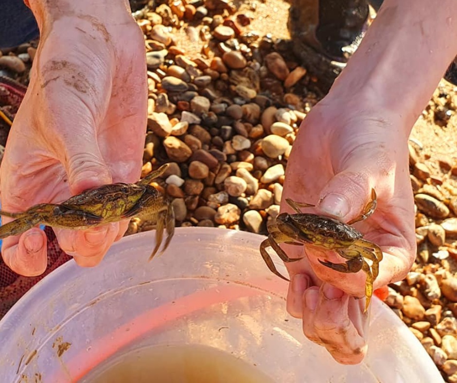 Lightwave Suffolk tweet media