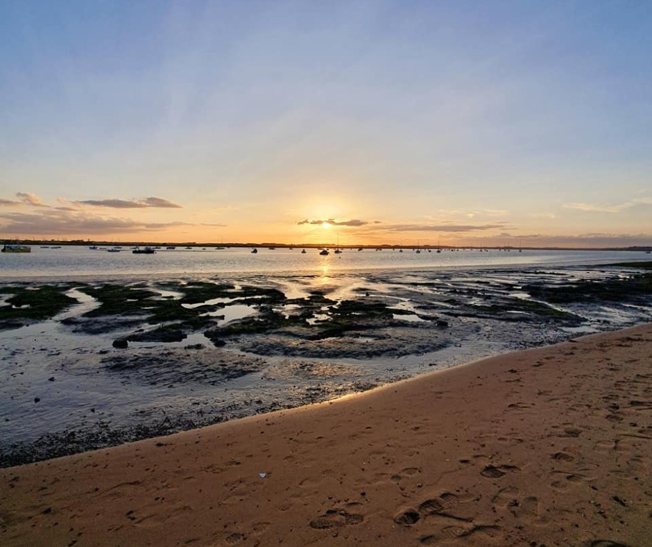 Lightwave Suffolk tweet media