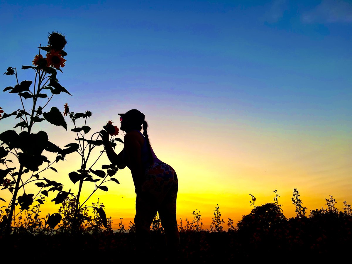 Students are working on their Sunset Assignment this week <a href="/Lakota_Central/">@Lakota_Central</a>.  Check out this amazing image! #arteducation