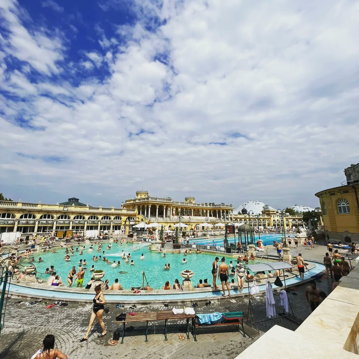 Josh Griffiths tweet media