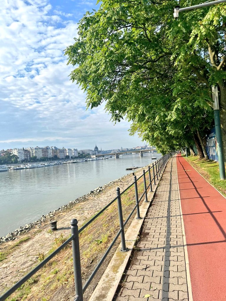 Josh Griffiths tweet media