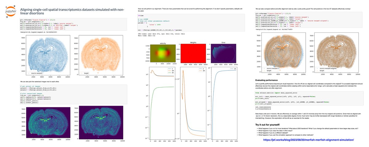 In this blog post, I simulate non-linear tissue distortions in #singlecell #spatialtranscriptomics data to demo how STalign can align ~85k cells in <5 mins.

Follow along in #Python + try it out for yourself: jef.works/blog/2023/08/2…

#dataanalysis #AcademicTwitter #Bioinformatics