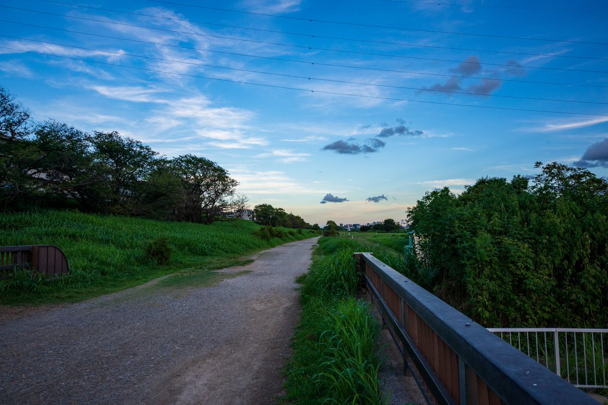 ZShincha's tweet photo. どうも心からは写りが好きになれなかったz40mm f2をトレードしてz26mm f2. 8を購入。色も、フォーカスの点でもこっちの方がかなり好き。さらに小型なので大三元を持って行くのがつらいハードな登山にも向いている。
#z20mmf28 #Nikon #写真好き https://t.co/eirLSbTf0X