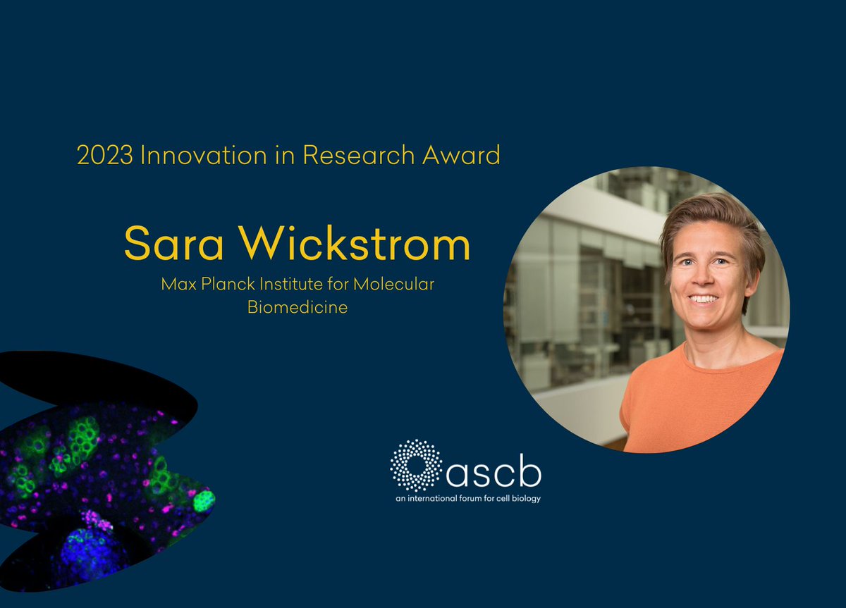 For her research innovation that significantly impacts progress in advancing the field of cell biology Sara Wickström of the Max Planck Institute for Molecular Biomedicine will receive ASCB’s Innovation in Research Award. Congratulations! @WickstromLab @MPI_Biochem