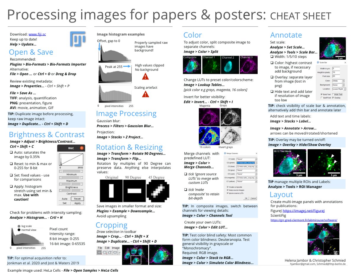 And, how-to-in ImageJ/<a href="/FijiSc/">Fiji</a> 

for download: osf.io/cjp8w/
