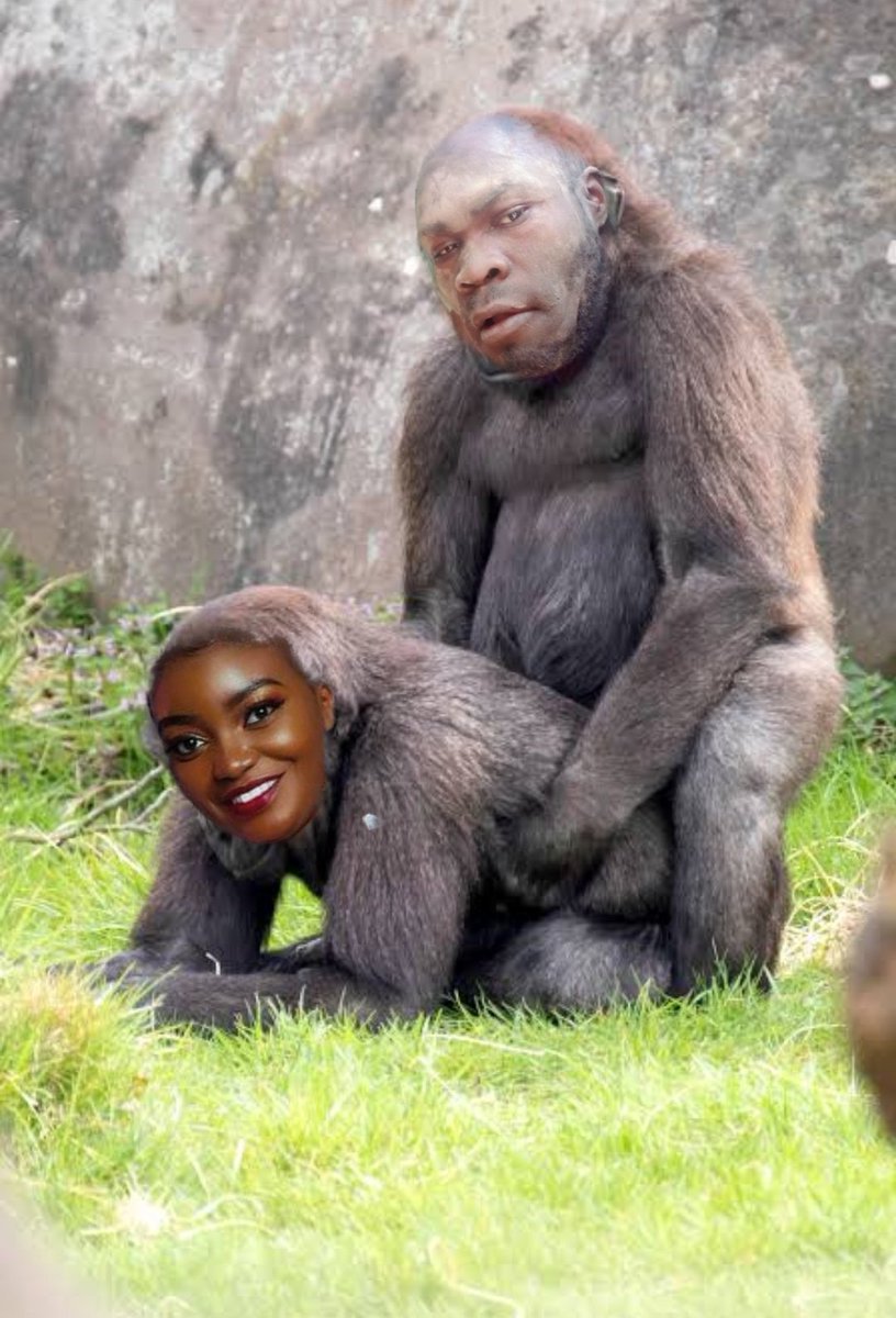 marto254_'s tweet photo. Hapa bookten amemalizwa https://t.co/COklgyJNWI