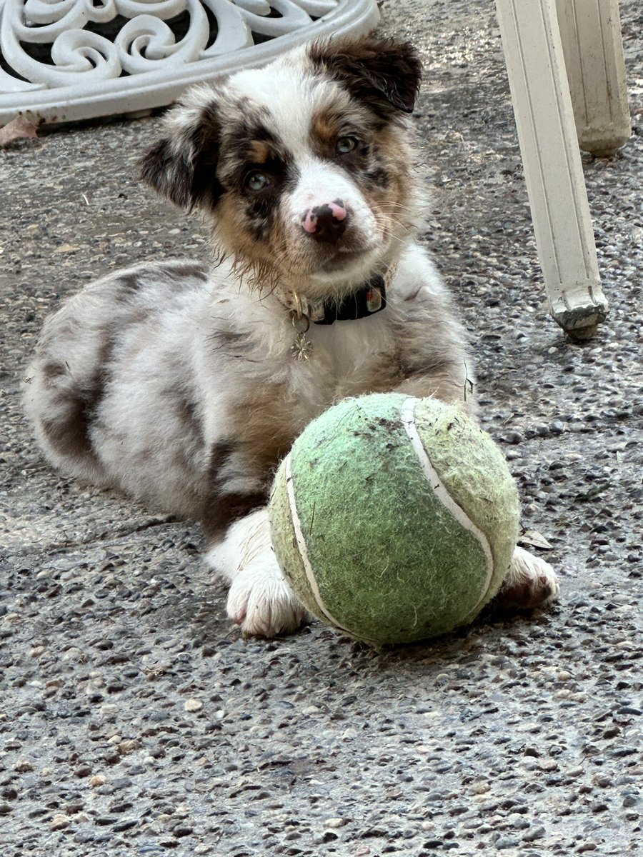 leftrobin's tweet image. Just chilling