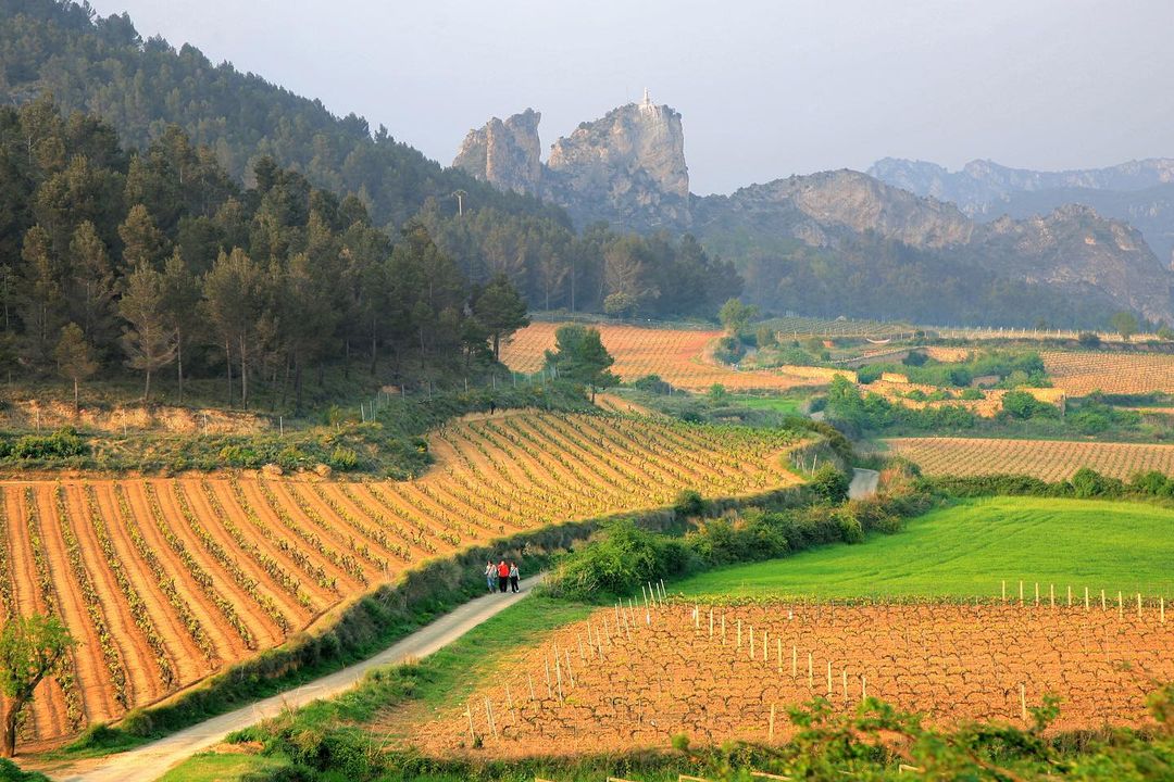 Iberian Spirit ✠ tweet media