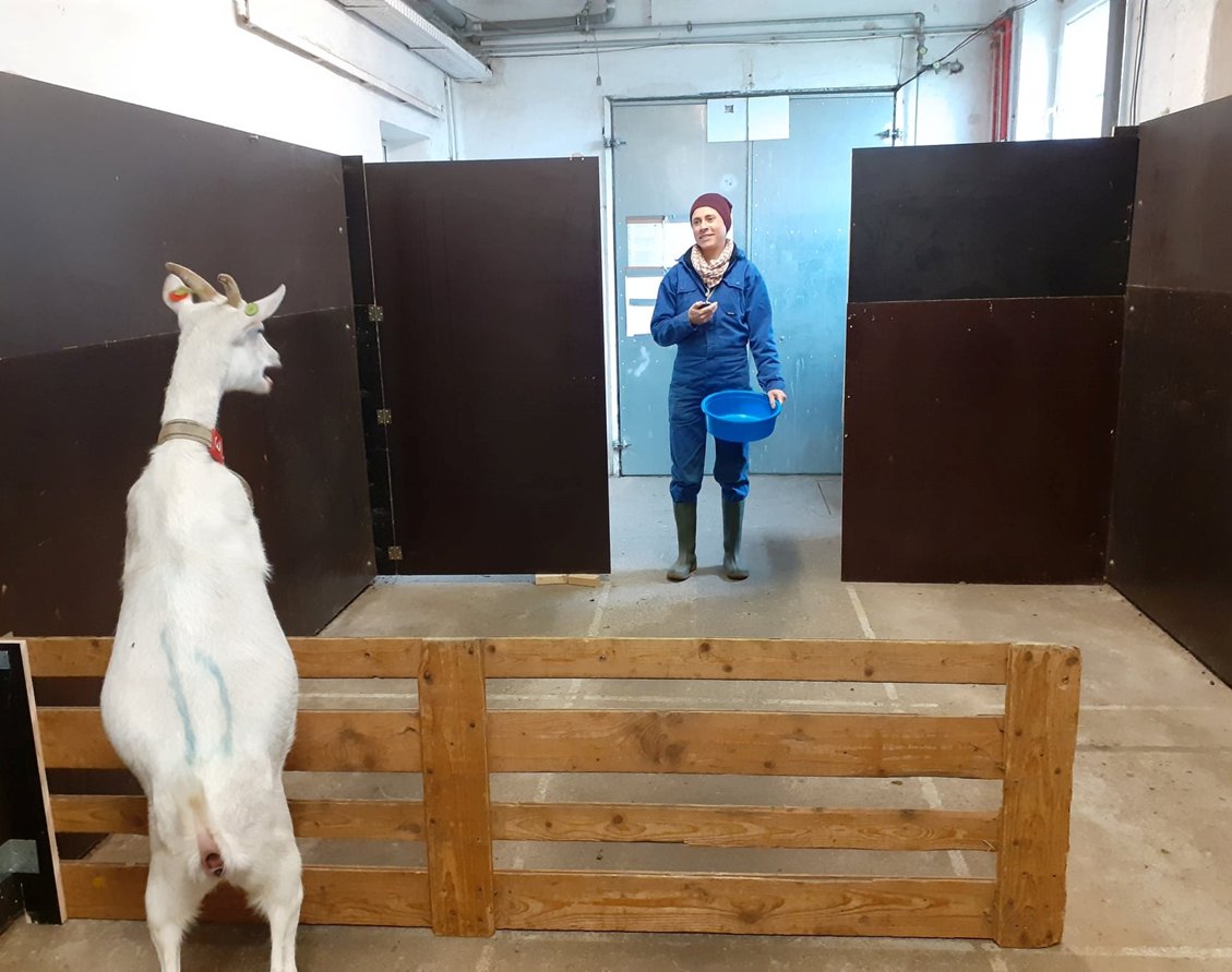 Calling all Master's students! 🚨

Exciting opportunity to delve into goat intelligence. 🐐🧠

Remote work possible! 📚

Learn more below.

dropbox.com/scl/fi/e1fg2tw…