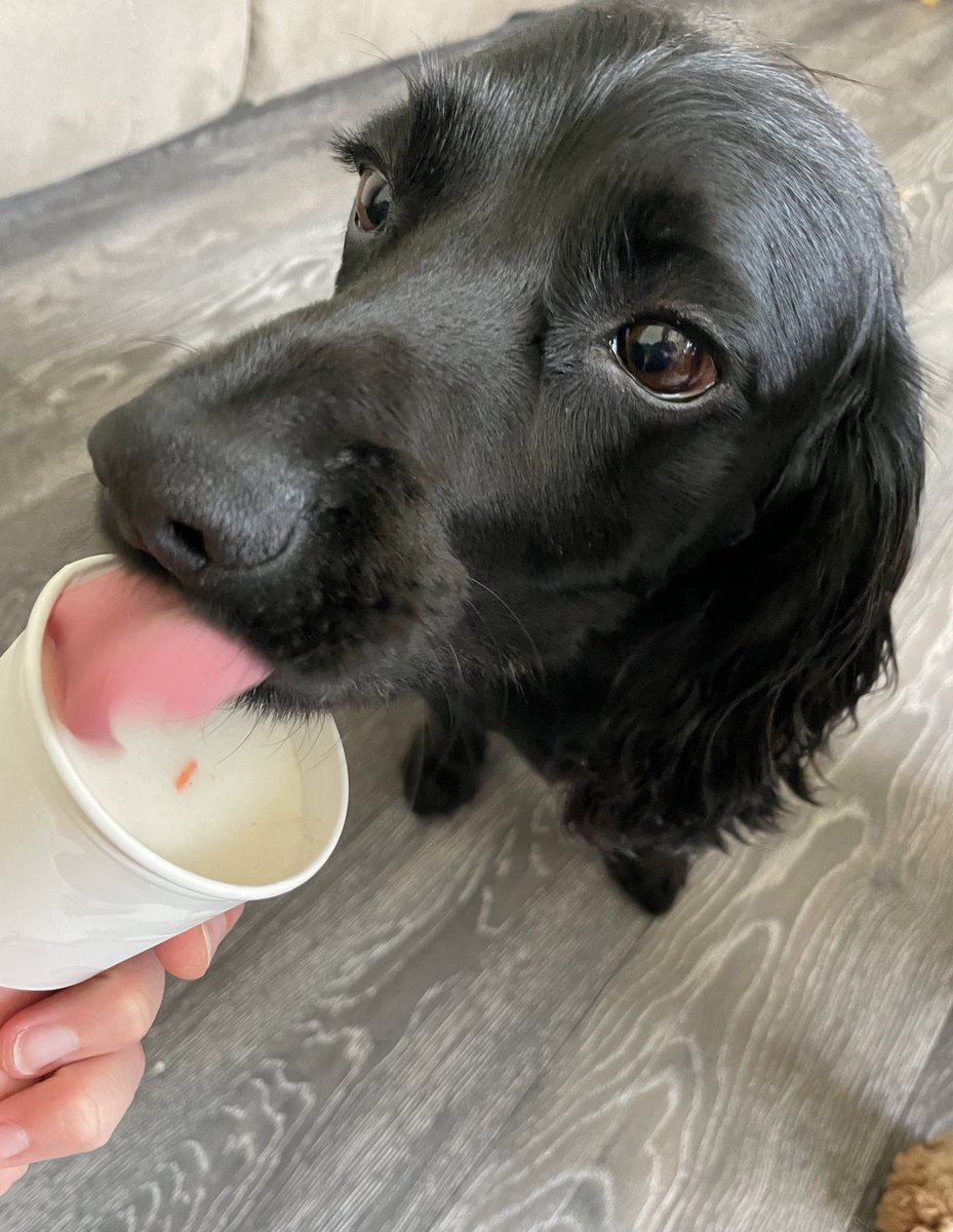 Can't wait for him to have the shits. Loved it tho 🍦