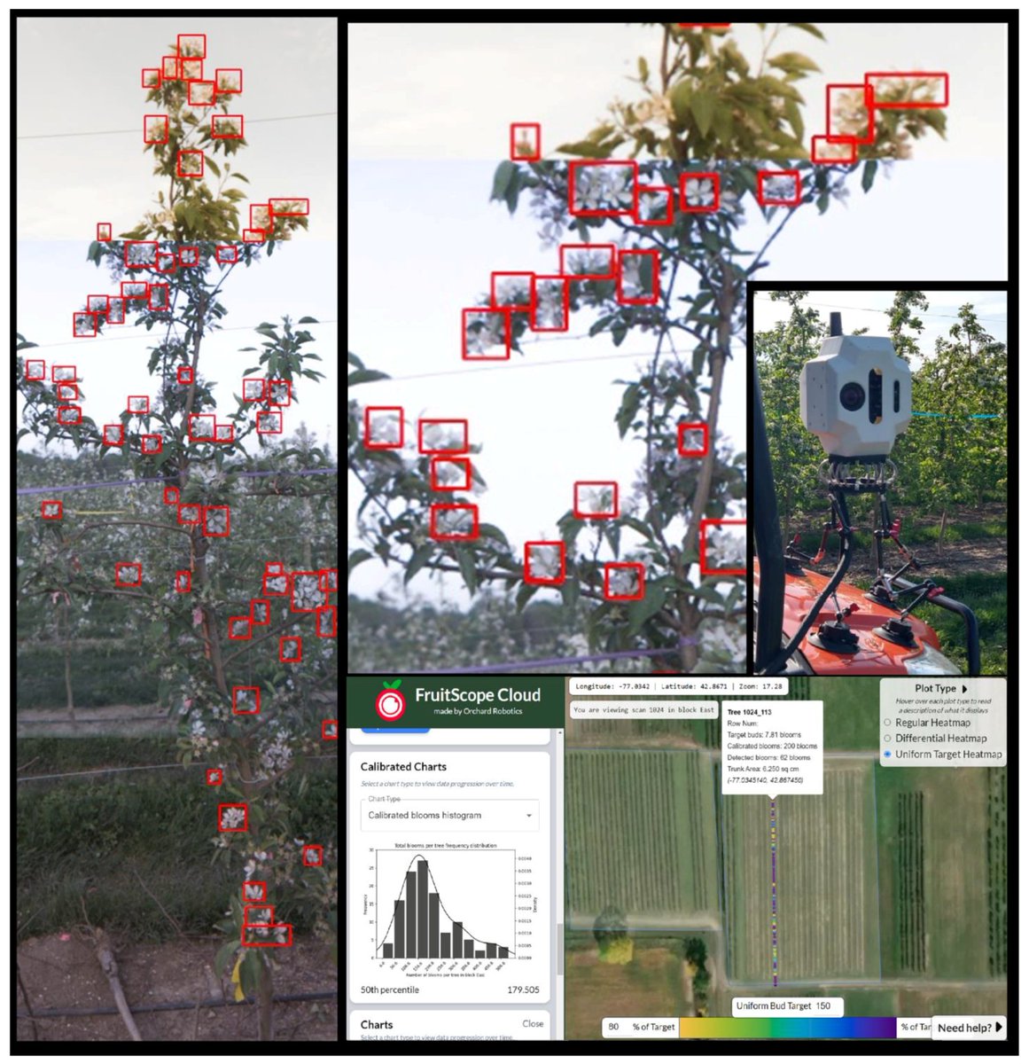#Horticulturae - New Published Paper🍀

📖Title: Evaluation of #Computer #Vision #Systems and Applications to Estimate Trunk Cross-Sectional Area, #Flower Cluster Number, Thinning Efficacy and #Yield of #Apple.

✍️Paper written by: Luis Gonzalez Nieto et al.

#academic #MDPI