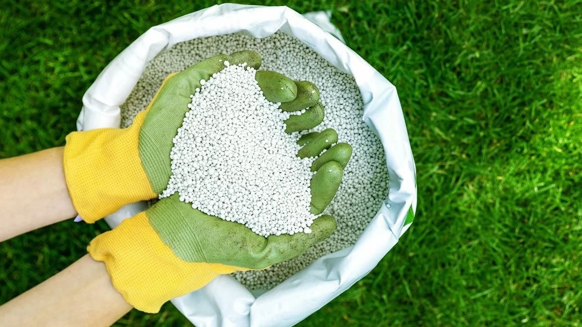 aldomanucio_lab's tweet photo. 🍏 #FertigHy is a green fertiliser provider, a project between @InnoEnergyEU, @RICEnergyGroup, @MaireTecnimont, @Siemens, @InVivoGroup, & @Heineken.
Facts: 13 % of EU emissions come from agriculture (with around 5 % from fertilisers 📢 @Cambridge_Uni).
https://t.co/7vOoFG7fzB https://t.co/AMtnooaDCX