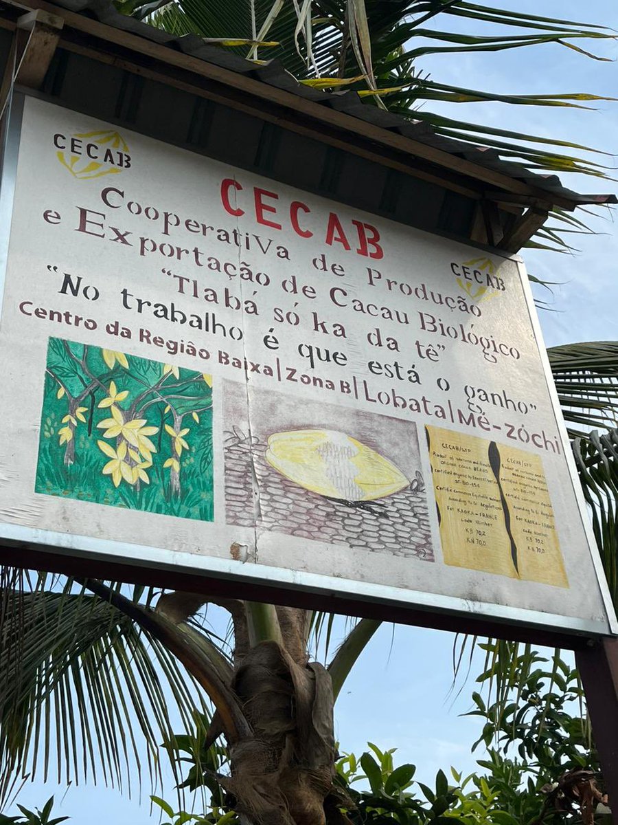 Jose Carlos Morante (@morante_filho) on Twitter photo Primeira reunião com a cooperativa CECAB em Santo Tomé e Príncipe. Aqui inicia o projeto coordenado por <a href="/APalmeirim/">Ana Filipa Palmeirim</a> nas agroflorestas de cacau na ilha de Santo Tomé. Primeira reunião com a cooperativa CECAB em Santo Tomé e Príncipe. Aqui inicia o projeto coordenado por <a href="/APalmeirim/">Ana Filipa Palmeirim</a> nas agroflorestas de cacau na ilha de Santo Tomé.