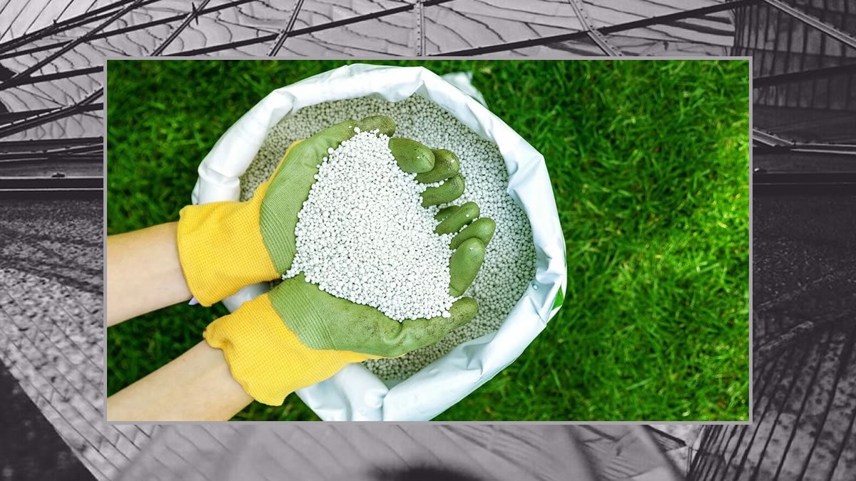 aldomanucio_lab's tweet photo. 🍏 #FertigHy es un proveedor de fertilizante ecológico, proyecto de @InnoEnergyEU, @RICEnergyGroup, @MaireTecnimont, @Siemens, @InVivoGroup, & @Heineken.
Datos: 13 % de las emisiones de la UE son de la agricultura (5 % de fertilizantes📢 @Cambridge_Uni).
https://t.co/7vOoFG7fzB https://t.co/Qae0ioIh0C