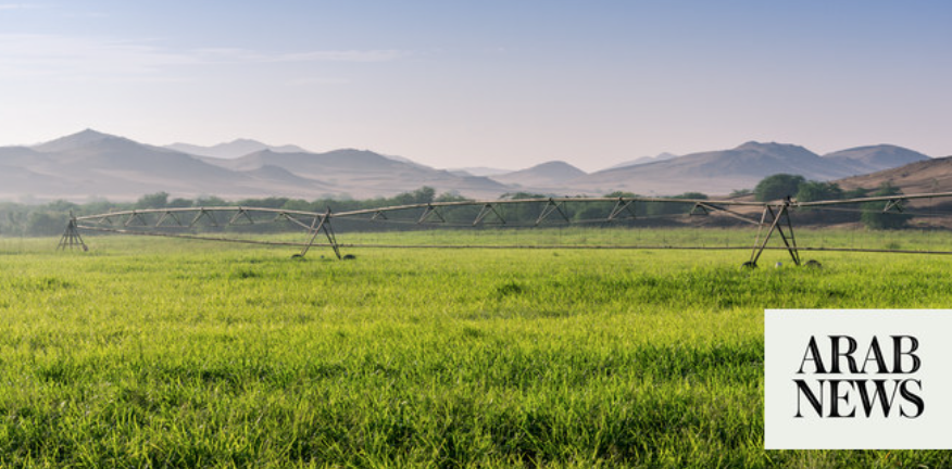 infoblazeme's tweet image. Saudi Arabia’s open-field vegetable production hits 983k tons

@Stats_Saudi

#SaudiArabia #Agriculture #VegetableFarming
#GCC #MiddleEast 
bit.ly/3KLrerm
Via arabnews.com