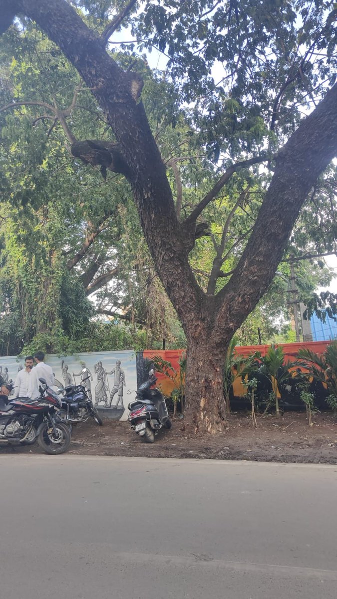 Dy.EE/GHMC/C- 12 &13 tweet media