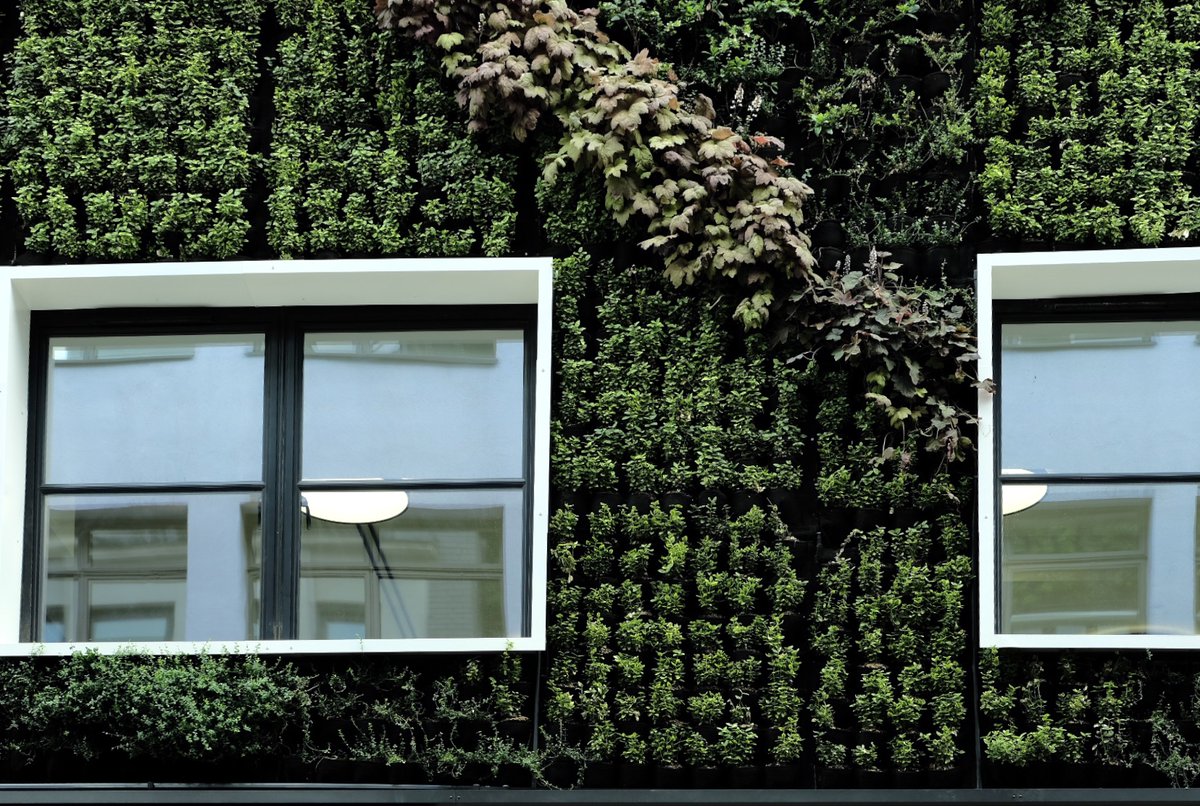NSConstruction7's tweet photo. Beautiful work from the @ScotscapeWalls team at our recently completed project in Carnaby Street. The installation of a #livingwall which will encourage biodiversity in the city and create a feeling of wellbeing, suiting the ethos of the Carnaby Estate. https://t.co/bFm4OYjdIo