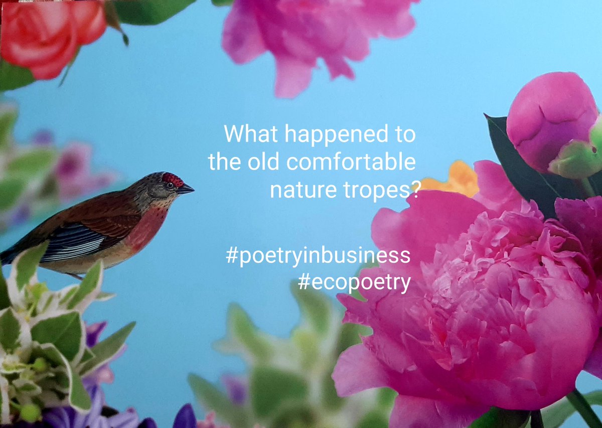 CMerl's tweet photo. In welche Richtung wollen wir weiterschreiben? #poetryinbusiness #polyphonicstorytelling #imagine #picturethefuture #digital #analogue #2cg #socialcollaborativelearning #cocreation #ecopoetry https://t.co/F6y528EBZB