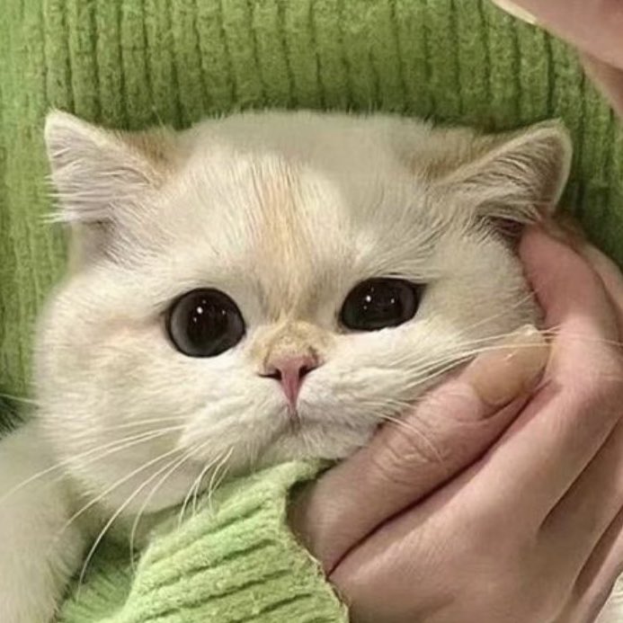 tiny_ninii's tweet photo. There’s no difference 😭 https://t.co/2lZau44Tz0