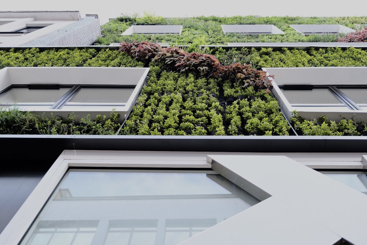 NSConstruction7's tweet photo. Beautiful work from the @ScotscapeWalls team at our recently completed project in Carnaby Street. The installation of a #livingwall which will encourage biodiversity in the city and create a feeling of wellbeing, suiting the ethos of the Carnaby Estate. https://t.co/bFm4OYjdIo