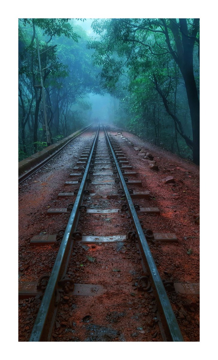 anaghafilmpr's tweet photo. On The Track With Happiness ❤
Thanks To Universe 
#photooftheday #MondayMotivation #Love #beauty #NaturePhotography #fog #universe 
@ThePhotoHour @ThePhotoMode @StormHour https://t.co/sPzExT1E5j