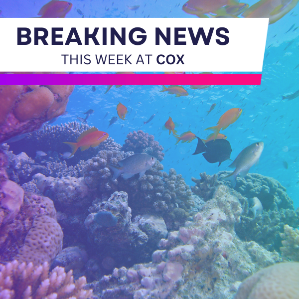 CoxSci's tweet photo. 🧪This week at Cox🧪
🎟️Summer Savings Pass
🎒Field Trip Forecast
📅Upcoming Events
🍔Food Truck Frenzy
✉️Contact Us

#CoxScienceCenterandAquarium #OpenEveryMindtoScience #SummerSavingsPass #UpcomingEvents #FieldTrips #StrollerDaze #NightsattheMuseum #ThingstodoinPalmBeach https://t.co/CBg2OTngcz