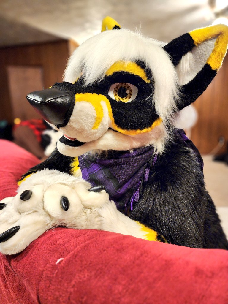 Sylox95's tweet photo. Good morning to yah! 💛

📷 @LiftyHusky https://t.co/O1uJJmaOrj