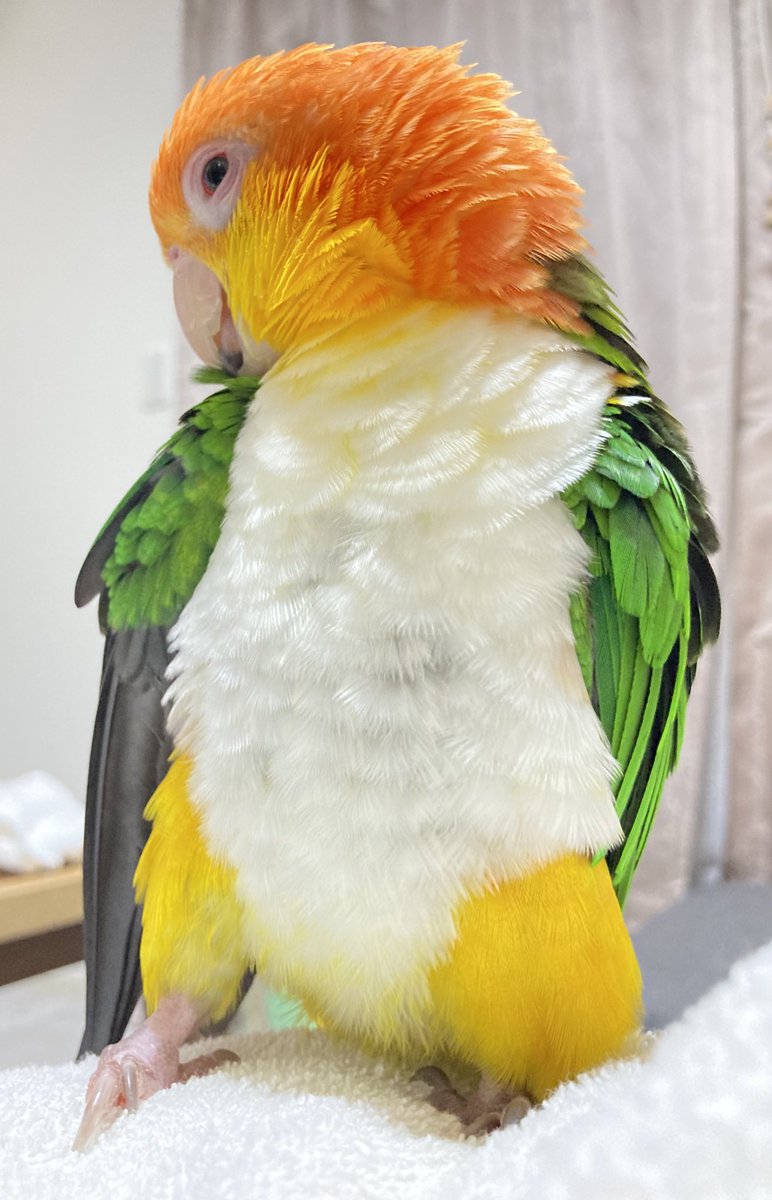 思いっきり....

吸う！！！！！