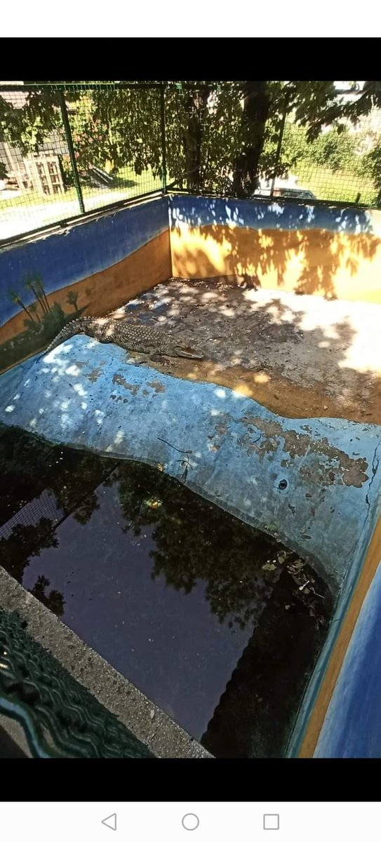 amaksimovic1's tweet photo. ZOOLOŠKI VRT ILI LOGOR ZA ŽIVOTINJE U BORU?!

Alo SNS pajaci da li je moguće da vam ni život životinja nije važan? Vi ste ozbiljno bolesni.
Direktor ZOO vrta, Darko Dragijević, koji kaže da su životinje u tom vrtu u odličnom stanju.

ODGOVARAĆETE, SVI! https://t.co/u7oMQzM4by