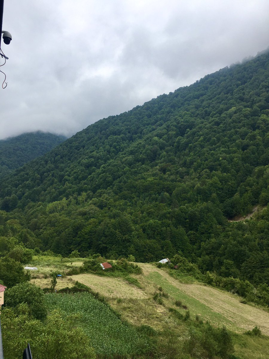 21.08.23
Sinop/Türkeli/Gökçealan Köyü 📍