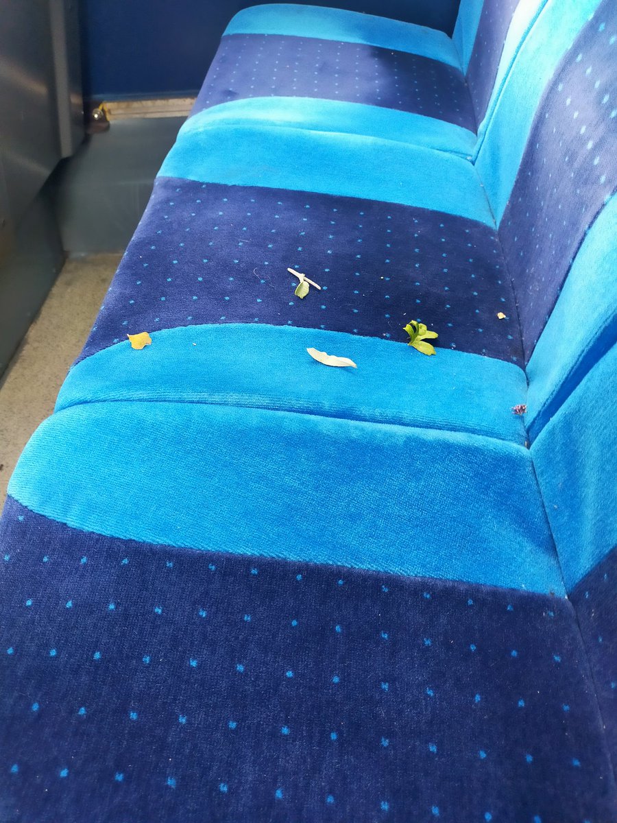 Being attacked by nature on 2H00 Cleethorpes - Sheffield @northernassist #briggline @Northern_Travel @IBLRG