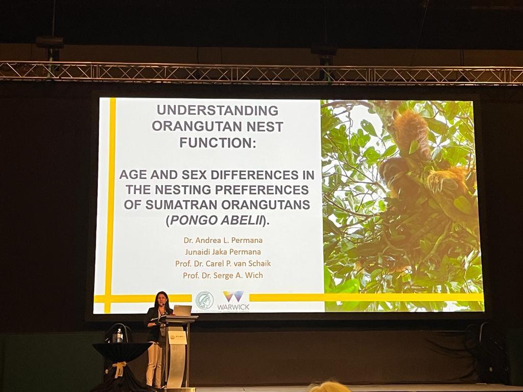 First #IPSKuching presentation done ✅ 

If you missed it and are registered you can watch online!

Looking forward to presentation number 2 on the #ontogeny of #nestbuilding in wild #orangutans on Thursday at 12:15 in the #plenaryroom again!

#warwickuniversity #suaq #IBED #uva