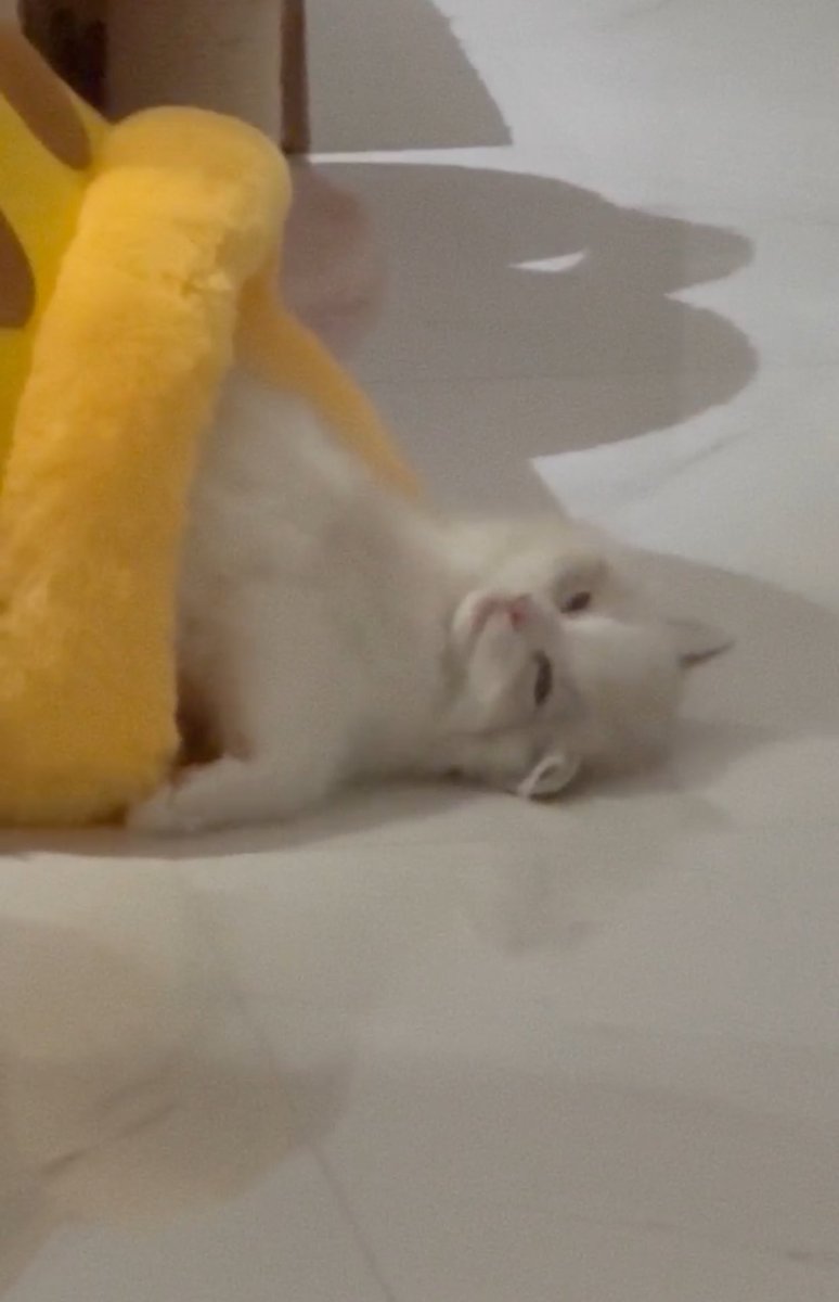 โน่ไพ่ลับเอ้ดเอม tweet media
