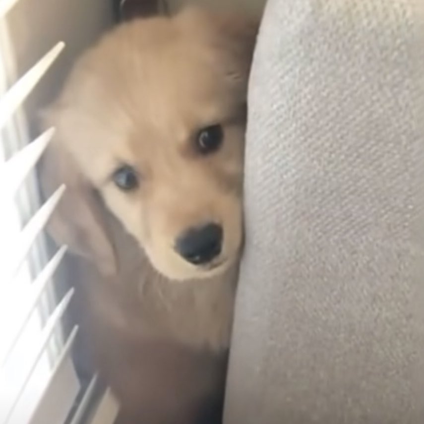 งอน ไม่ต้อมมาเรียก