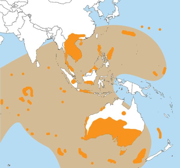 Australasian tektites have been found all over the Indian Ocean, Australia, Indonesia, Southeast Asia &amp; even Antarctica. But the source crater has eluded scientists so far. Now a new study has found a possible impact site ☄️
tinyurl.com/4up8c9zu