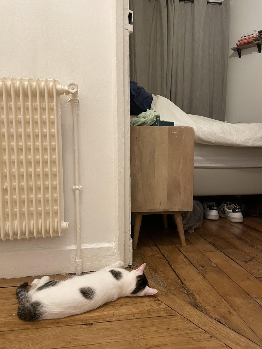 Zag is so completely convinced that Lily will be his best friend. SO convinced.