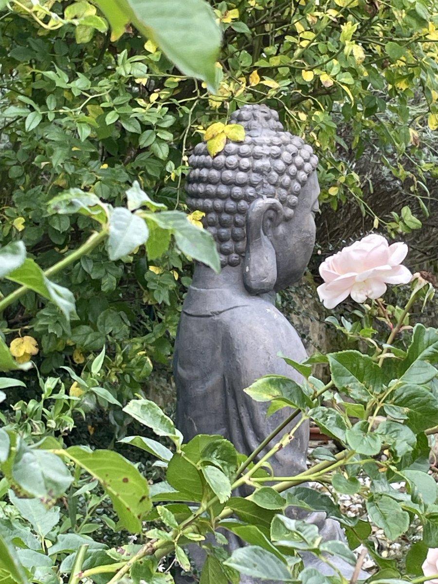 Mein Buddha im Garten👍