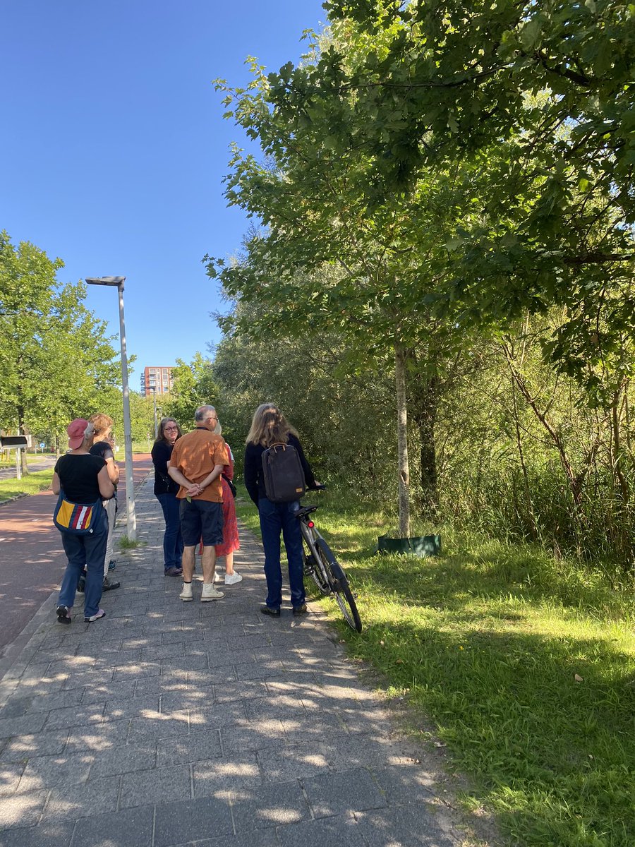 Ik wandelde mee met #BomenbondRijnland door het Leeuwenhoekpark met veel Am. iepen. Gelukkig is door toedoen van #Naturalis en de Bomenbond de rand van het park diverser gemaakt door een rij van bomen o.a. meidoorn en eik.