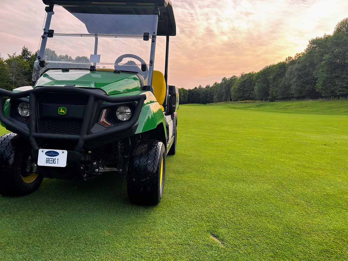 Carol Turner tweet media