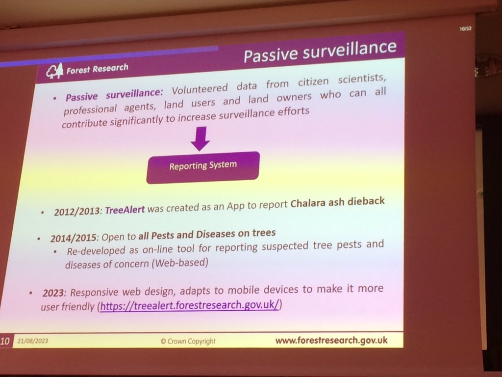 pascal_frey's tweet image. #ICPP2023 @Anapesi3 on reporting systems &amp;amp; #CitizenScience for detection of tree pathogens 
#Observatree #TreeAlert