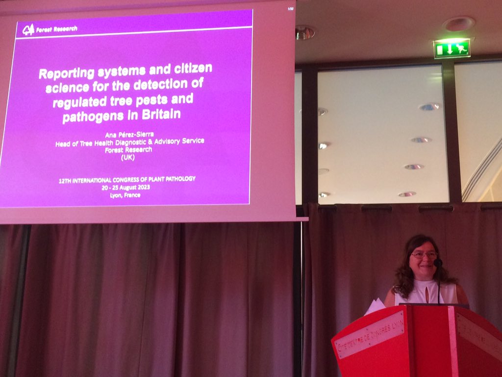 pascal_frey's tweet image. #ICPP2023 @Anapesi3 on reporting systems &amp;amp; #CitizenScience for detection of tree pathogens 
#Observatree #TreeAlert