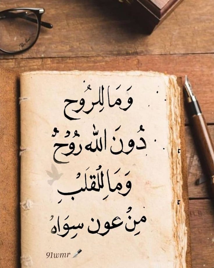Eman Hassan (@emanhassan152) on Twitter photo 