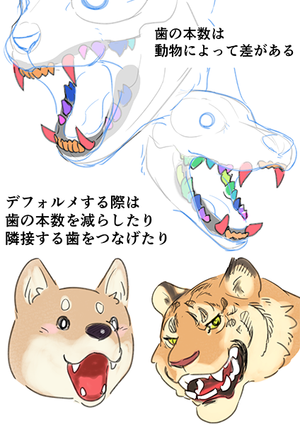 ichiup_net's tweet photo. 肉食獣の口の描き方🦁 🐯 

肉食獣の象徴と言えば「牙」。口は肉食獣のかっこよさを演出するためには欠かせない要素です😎 

https://t.co/st8q1bq2lf 
#絵が上手くなる記事はコレ https://t.co/BBRHzIkSNH