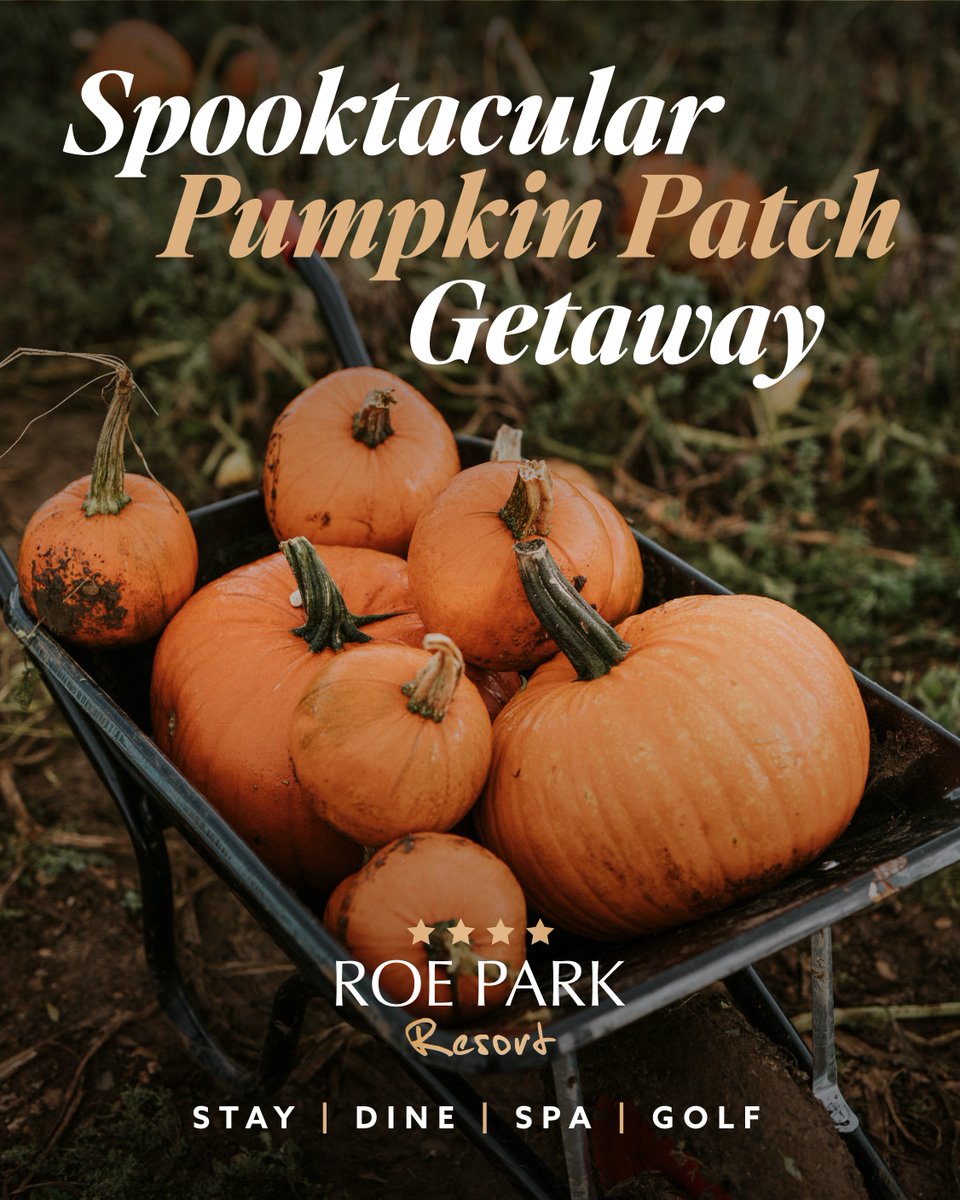 Halloween Break with Pumpkin Patch 🎃 𝙀𝙣𝙟𝙤𝙮 𝙖 𝙨𝙥𝙤𝙤𝙠𝙮 𝙫𝙞𝙨𝙞𝙩 𝙩𝙤 𝙍𝙤𝙚 𝙋𝙖𝙧𝙠 𝙍𝙚𝙨𝙤𝙧𝙩 𝙩𝙝𝙞𝙨 𝙃𝙖𝙡𝙡𝙤𝙬𝙚𝙚𝙣 𝙖𝙣𝙙 𝙚𝙭𝙥𝙚𝙧𝙞𝙚𝙣𝙘𝙚 𝙤𝙪𝙧 𝙣𝙚𝙬 𝙋𝙪𝙢𝙥𝙠𝙞𝙣 𝙋𝙖𝙩𝙘𝙝! Read More: bit.ly/3QO4efd #halloween #pumpkinpatch @DiscoverNI