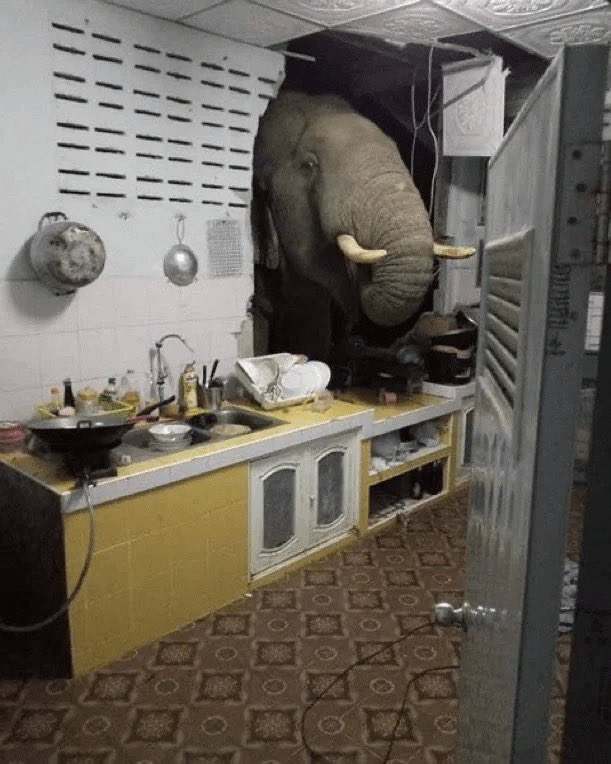 Buenos días joven, ¿tiene tiempo para hablar de postgresql?