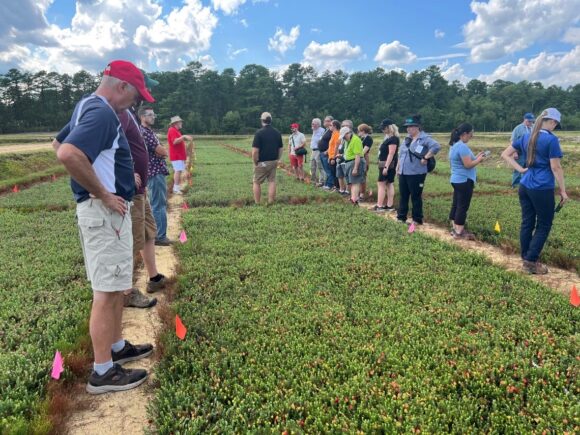 North American Strawberry Growers Association Hosted in New Jersey ow.ly/nRMT50PBrLU #strawberries #strawberrygrowers @RutgersU