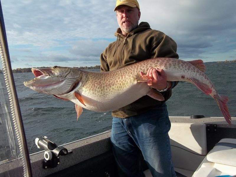 InFishermanMag's tweet photo. World-class muskies only swim in a few fisheries in North America, and the 1,000 Islands region is certainly one of them.
https://t.co/37FG9E7Eb0
#infisherman #muskie #stlawrenceriver #newyork #canada #destinationniagara https://t.co/uk1n9TR6Hq