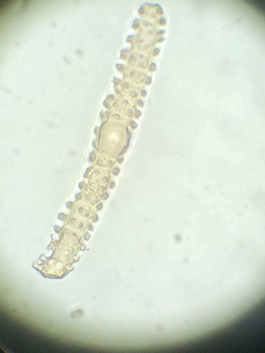 Amy (she/her) tweet media