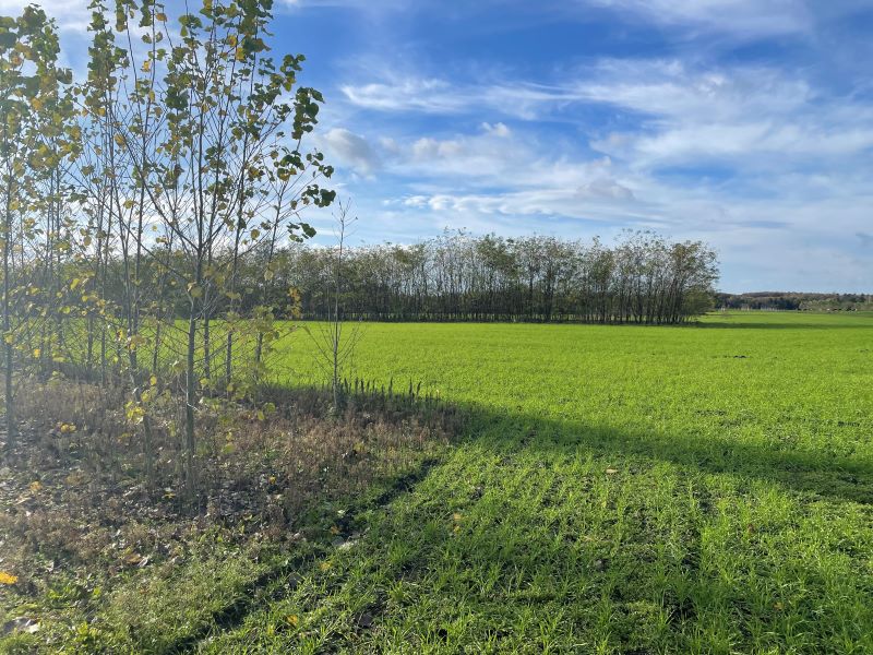 Wir erhielten vom <a href="/MLUKBrandenburg/">MLUK Brandenburg</a> die Liste der Programme, die von den GAK-Mittel-Kürzungen betroffen sein werden. Erfolgreichen, gut angenommenen Umweltprogrammen (zB Agroforst, Bild) werden demnach Mittel entzogen, statt Anreizwirkung zu entfalten.➡️kurzelinks.de/7je1